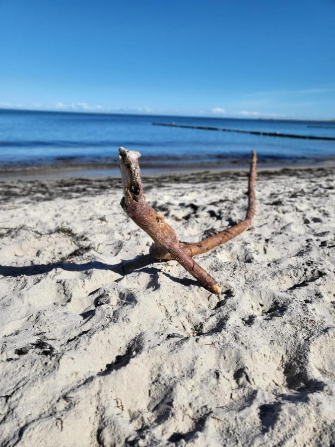 Strandhaus Wittower Heide Glowe Exteriör bild